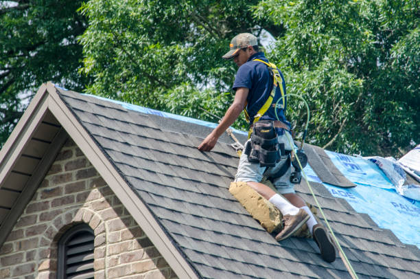 Best Storm Damage Roof Repair  in Buna, TX